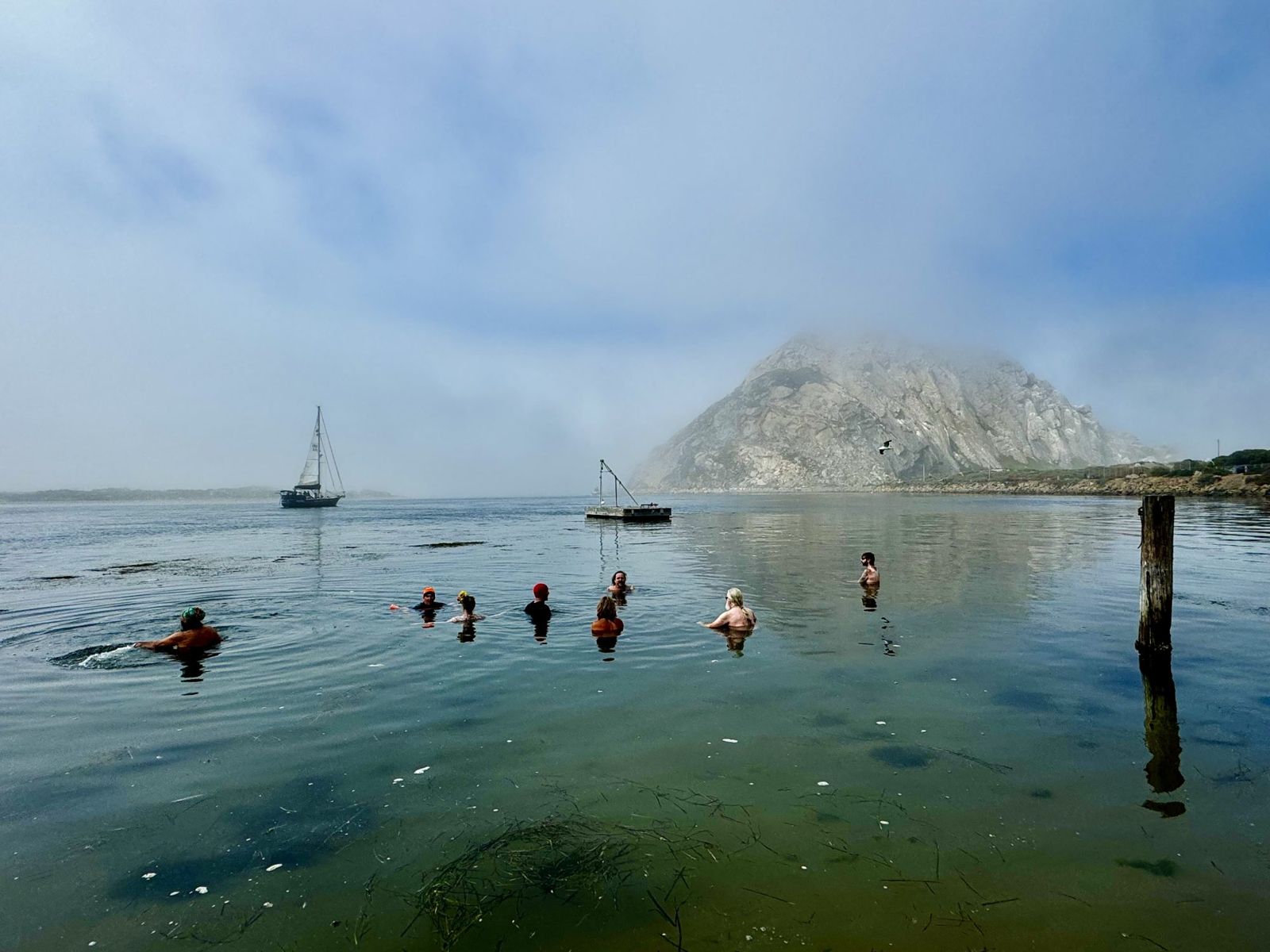 A group of odders in the misty bay with Morro Rock wrapped in fog behind them