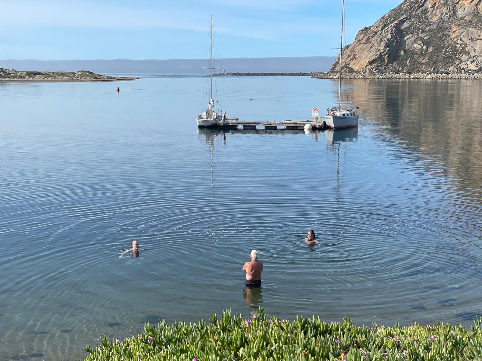 Three odders in glassy morning water, rings spreading out towards the moored boats
